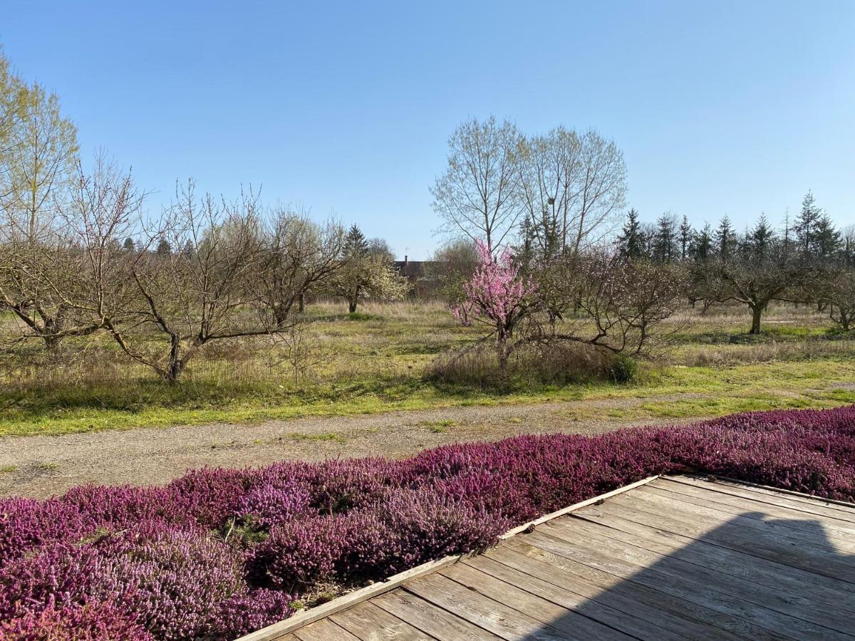 Le Gite De L'Etoile Du Jour Neung-sur-Beuvron Dış mekan fotoğraf